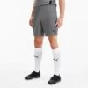 Men's Puma TeamGOAL 23 Knit Shorts Steel Gray - 70426213 060 1 Men's Puma TeamGOAL 23 Knit Shorts Steel Gray - 70426213 060 -Nike Sportwear Sales 70426213 060 M1