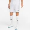 Men's Puma TeamFINAL Soccer Shorts Puma White - 70507604 100 -Nike Sportwear Sales 70507604 100 M1