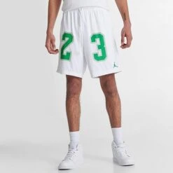 Nike Men's Jordan Essentials Graphic Mesh Shorts White/Lucky Green - DX9671 100