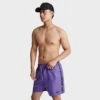 Men's Nike Volley 5-Inch Logo Tape Swim Shorts Action Grape - NESSD512 505 1 Men's Nike Volley 5-Inch Logo Tape Swim Shorts Action Grape - NESSD512 505 -Nike Sportwear Sales NESSD512 505 M1